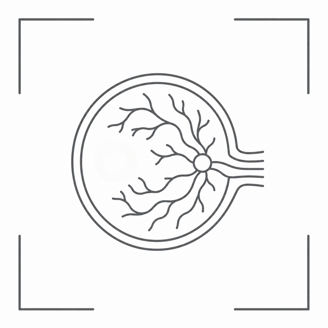 Eye Disease Management